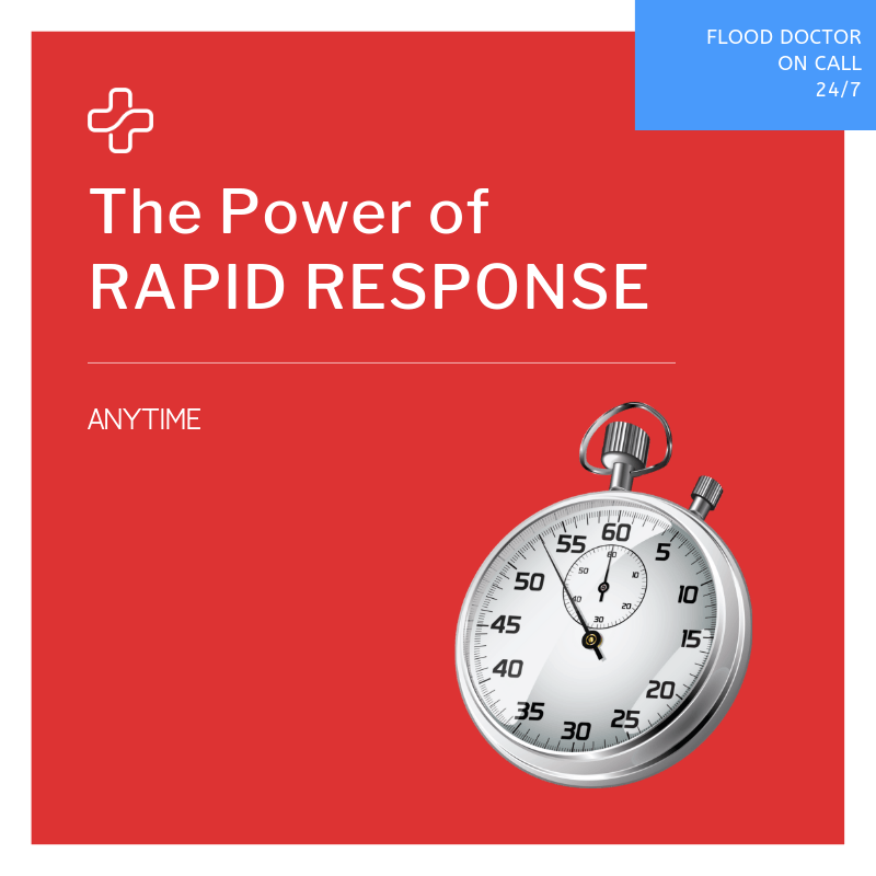 the power of rapid response